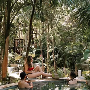  Lodge Anand Ecoaldea México